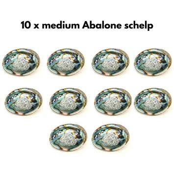 Abalone Schelp Medium (10X)